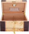 Florina Desktop Cigar Humidor For the Bar Quality Importers