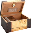 Florina Desktop Cigar Humidor For the Bar Quality Importers