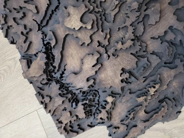 Arizona Topographical Map - Layered Wood Sign For the Man Cave Arizona Copper Beard