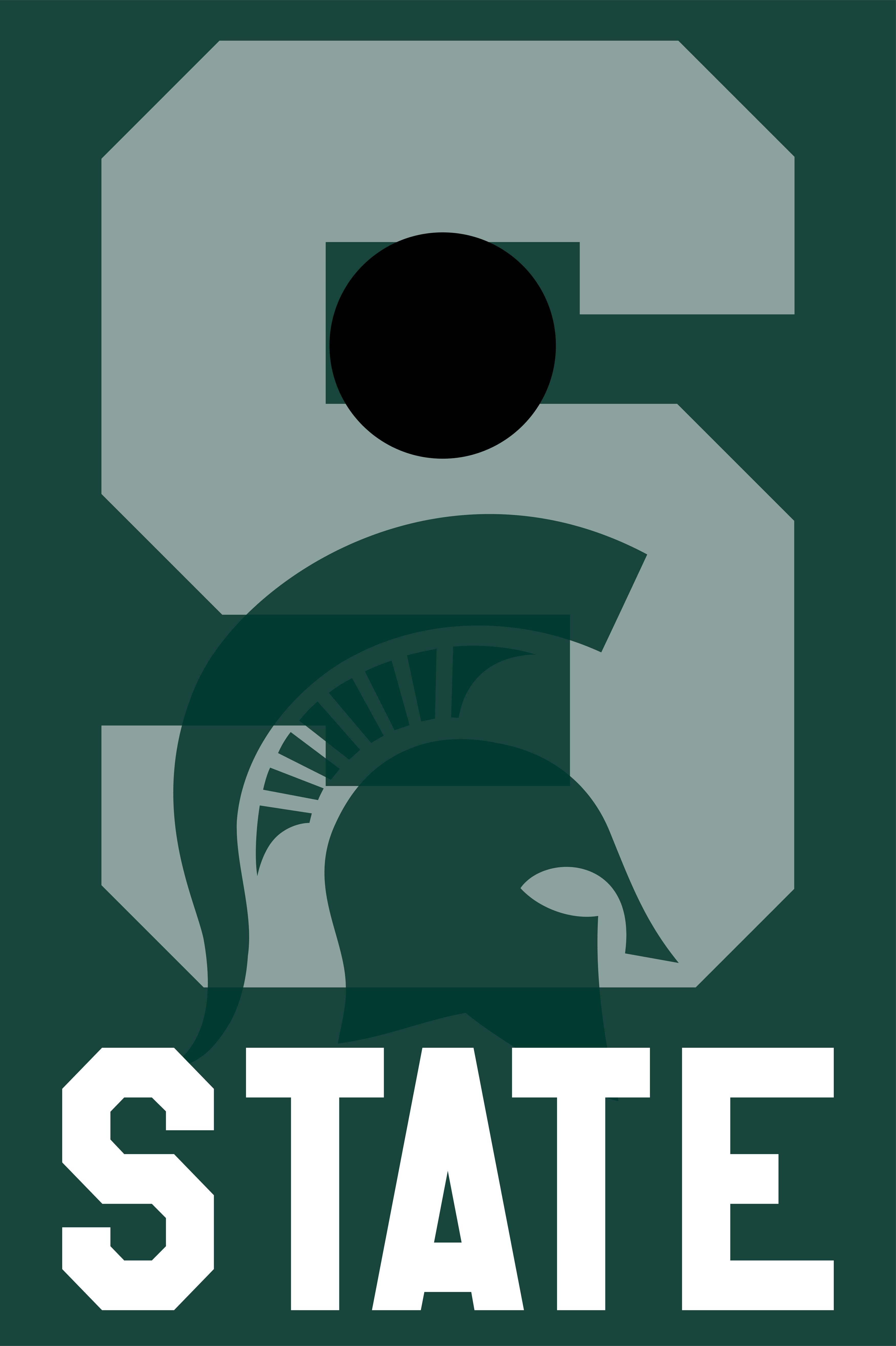 Cornhole Boards - Michigan State For the Player Moseye Pong