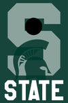 Cornhole Boards - Michigan State For the Player Moseye Pong