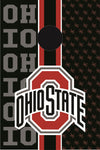 Cornhole Boards - Ohio State - Light For the Player Moseye Pong