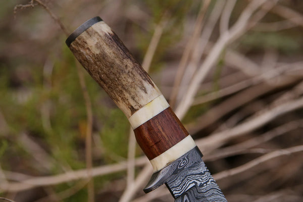 Skinner Knife - Damascus Steel – Stag Handle For the Outdoorsman Orklo Knives