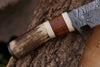 Skinner Knife - Damascus Steel – Stag Handle For the Outdoorsman Orklo Knives