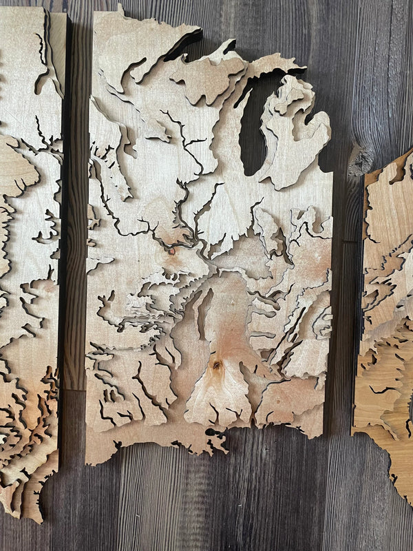 4 Foot Wide US Topo Map - Layered Wood Sign For the Man Cave Arizona Copper Beard