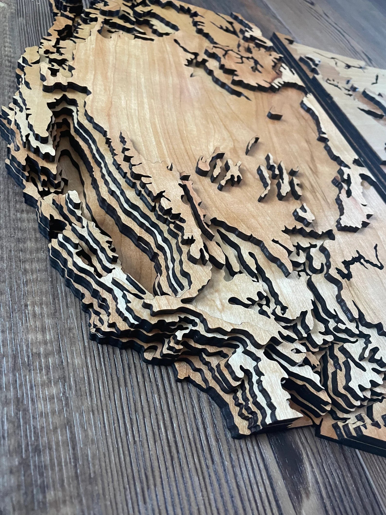 4 Foot Wide US Topo Map - Layered Wood Sign For the Man Cave Arizona Copper Beard