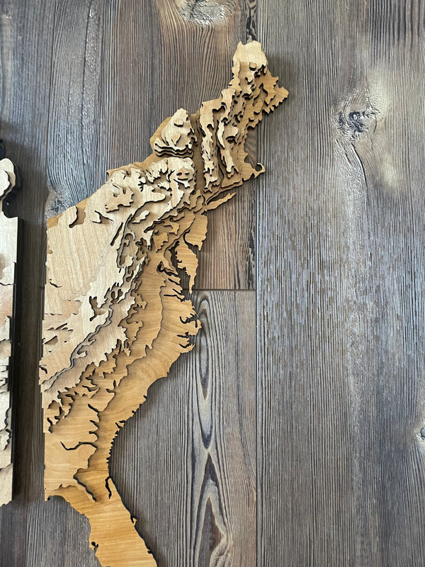 4 Foot Wide US Topo Map - Layered Wood Sign For the Man Cave Arizona Copper Beard