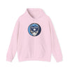 Light pink pullover hoodie with drawstring hood and Tampa Bay Rays logo at chest