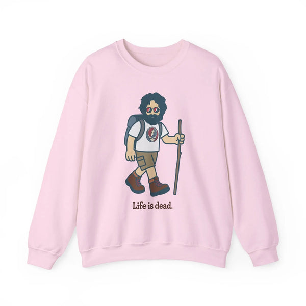 Light pink crewneck sweatshirt, front graphic print and long sleeves