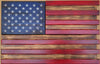 Single Compartment Small American Flag Gun Concealment Case