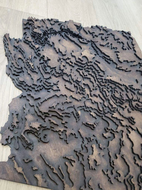 Arizona Topographical Map - Layered Wood Sign For the Man Cave Arizona Copper Beard