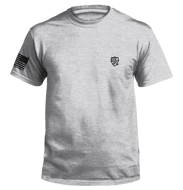 Sport grey crewneck T-shirt with small chest emblem and sleeve flag patch