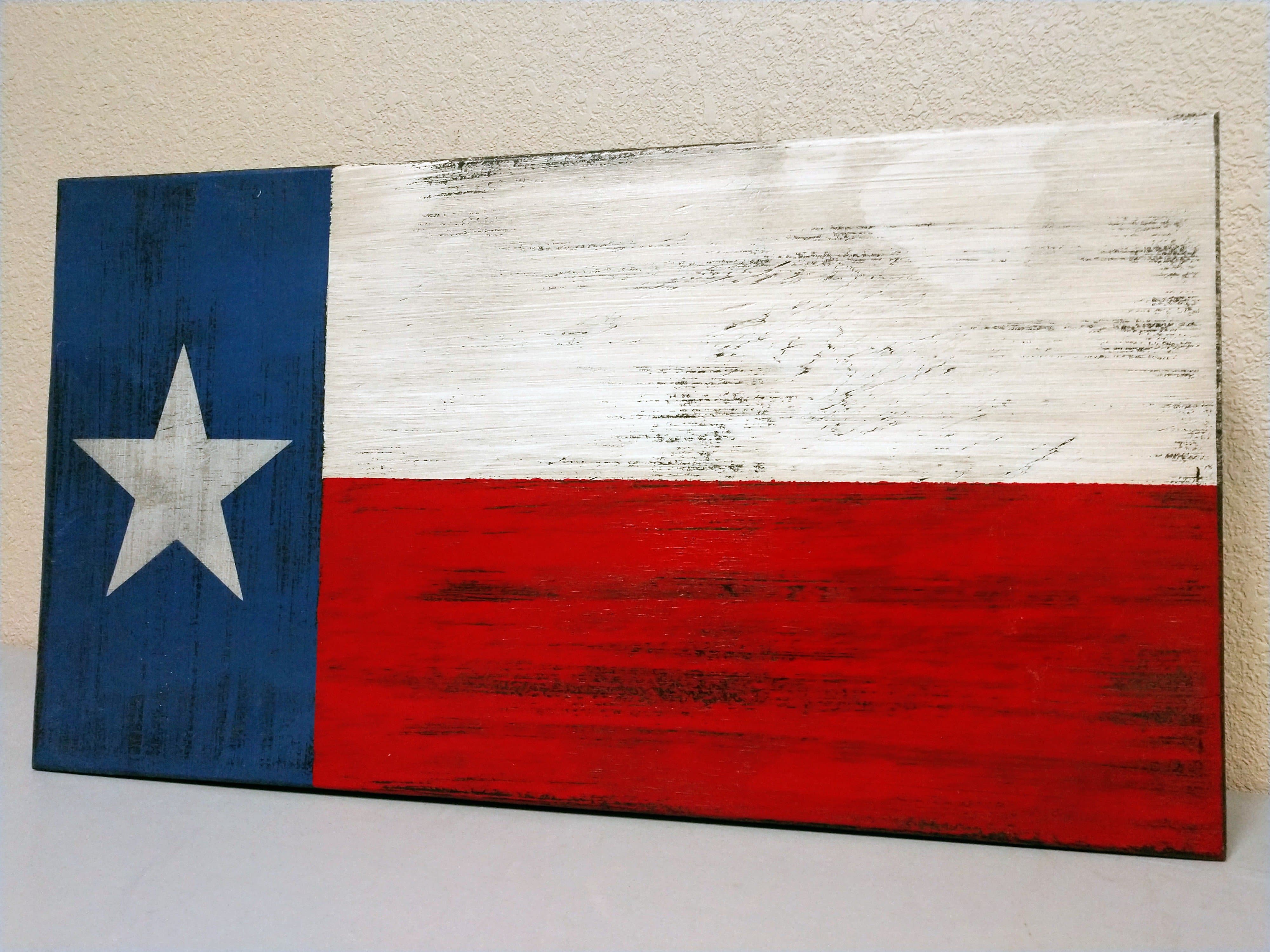 Mini American Flag Gun Concealment Case