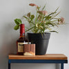 Mountain Range - Wooden Hip Flask For the Bar Autumn Woods