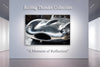 Jaguar D-Type - Gallery Wrapped Canvas For the Man Cave GJG Studios
