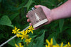 Pine Tree – Wooden Hip Flask For the Bar Autumn Woods