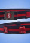 THE BYRD GOLF BELT ✶ Blue / Red Stripe
