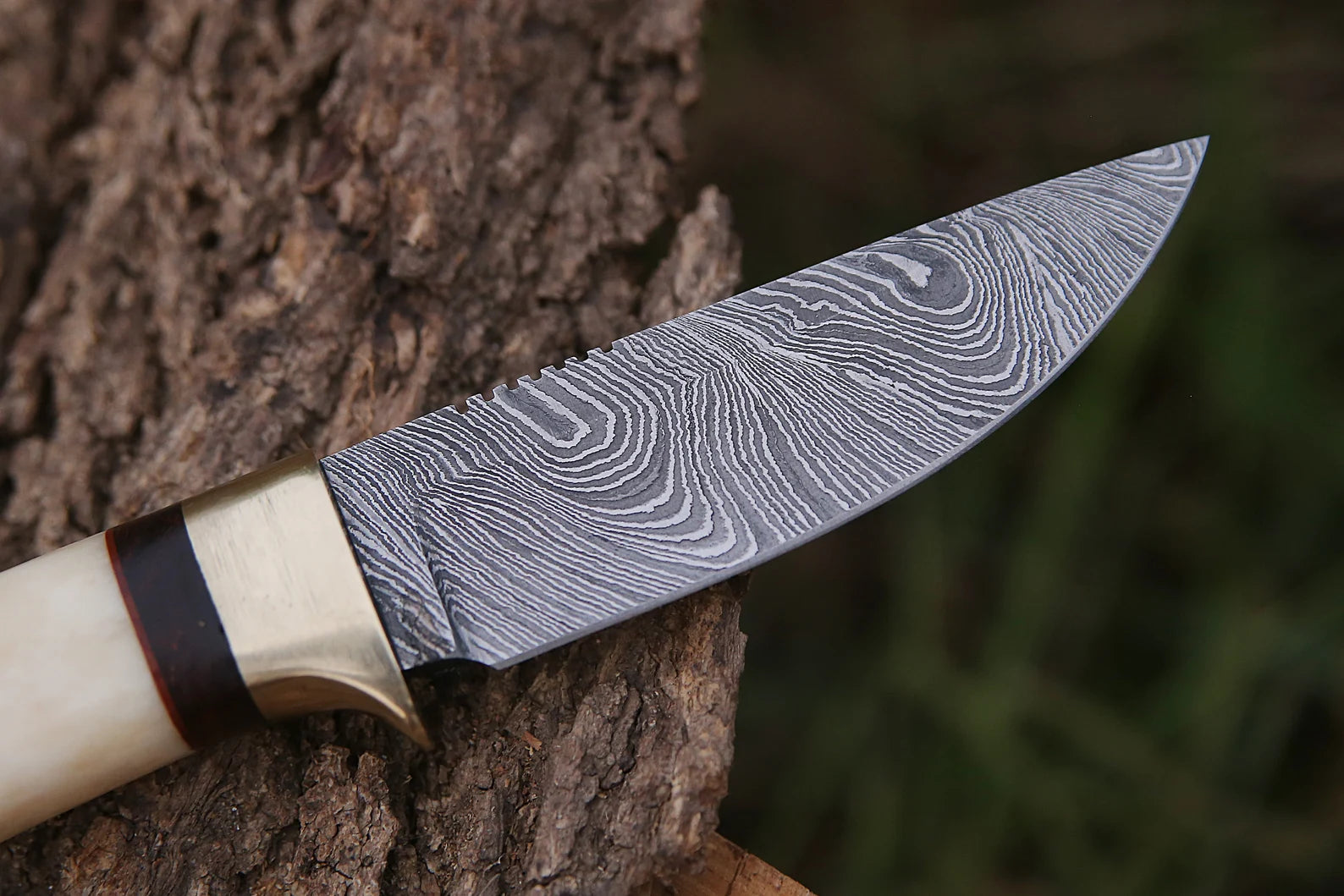 Skinner Knife - Damascus Steel – Bone Handle