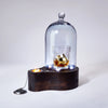 Speakeasy Bourbon Smoker (Full Size) For the Bar Ford Product Design