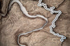 Tail of the Dragon - 3D Wood Track Map