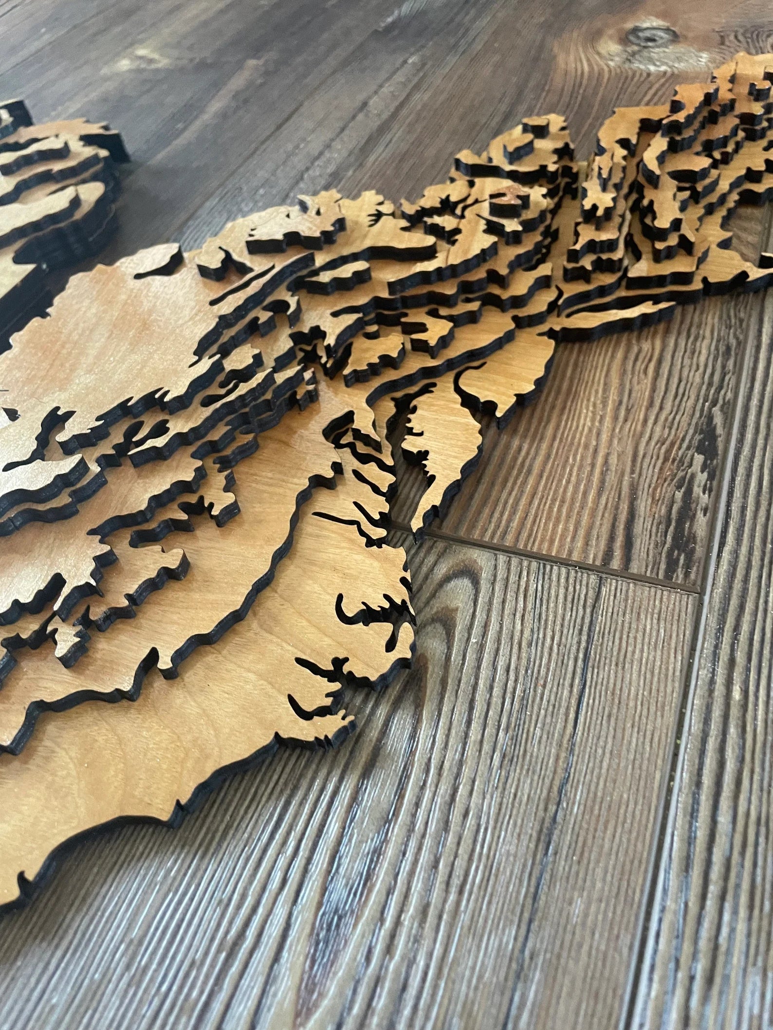 4 Foot Wide US Topo Map - Layered Wood Sign