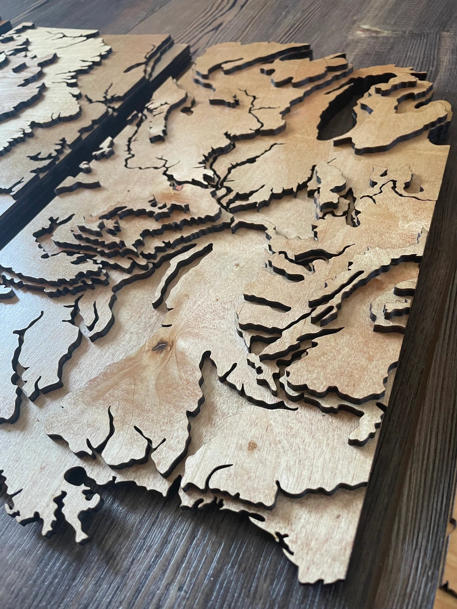 4 Foot Wide US Topo Map - Layered Wood Sign
