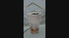 Speakeasy SNAP - Glass Top Cocktail Smoker For the Bar Ford Product Design